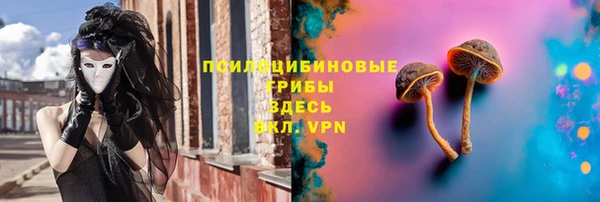 соль курить ск Новозыбков