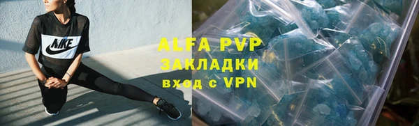 гашик Новокубанск