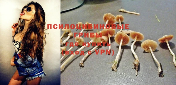 гашик Новокубанск