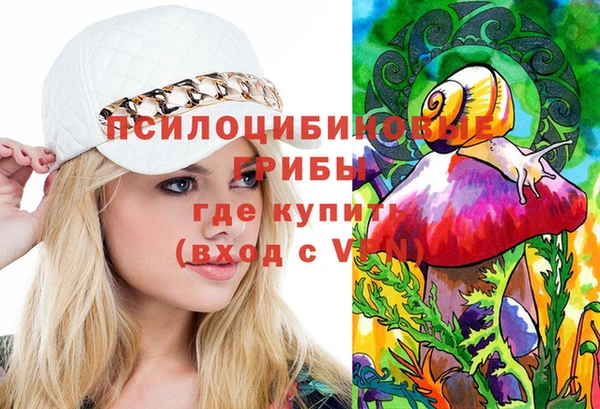 a pvp Новодвинск