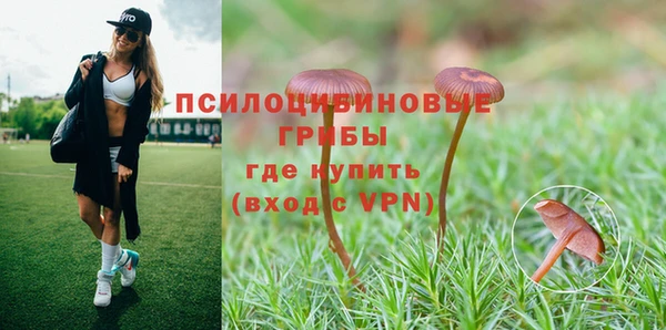 a pvp Новодвинск