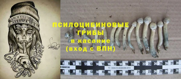 a pvp Новодвинск