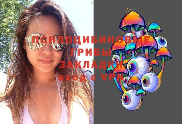 соль курить ск Новозыбков