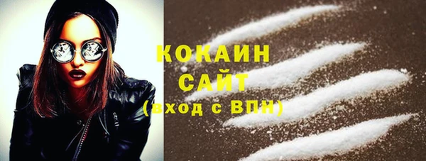 гашик Новокубанск